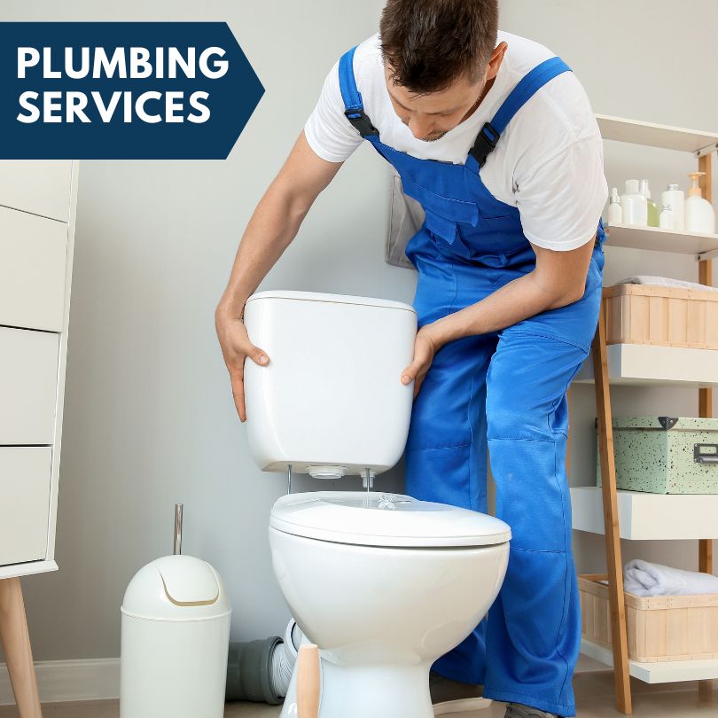 Plumbing Company in Golden Gate, IL